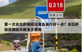 第一次去拉萨跟团还是自由行好一点？去拉萨旅游跟团大概多少费用
