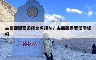 去西藏需要带现金吗现在？去西藏需要带零钱吗