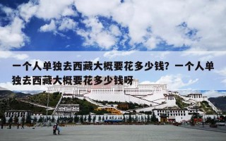 一个人单独去西藏大概要花多少钱？一个人单独去西藏大概要花多少钱呀