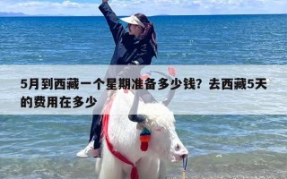 5月到西藏一个星期准备多少钱？去西藏5天的费用在多少