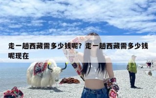 走一趟西藏需多少钱呢？走一趟西藏需多少钱呢现在