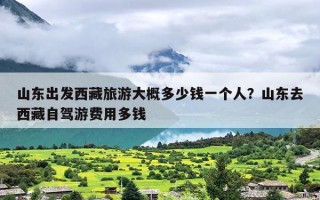 山东出发西藏旅游大概多少钱一个人？山东去西藏自驾游费用多钱