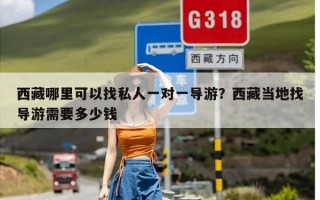 西藏哪里可以找私人一对一导游？西藏当地找导游需要多少钱