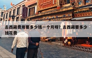 去西藏费用要多少钱一个月呀？去西藏要多少钱花费