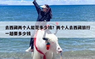 去西藏两个人能花多少钱？两个人去西藏旅行一趟要多少钱