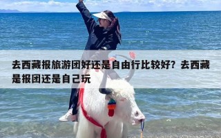 去西藏报旅游团好还是自由行比较好？去西藏是报团还是自己玩