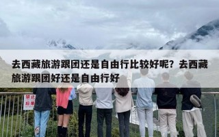 去西藏旅游跟团还是自由行比较好呢？去西藏旅游跟团好还是自由行好