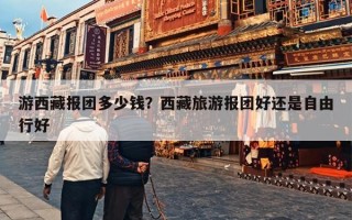 游西藏报团多少钱？西藏旅游报团好还是自由行好