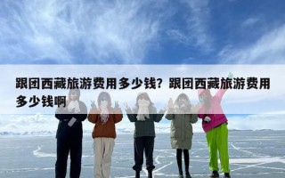 跟团西藏旅游费用多少钱？跟团西藏旅游费用多少钱啊