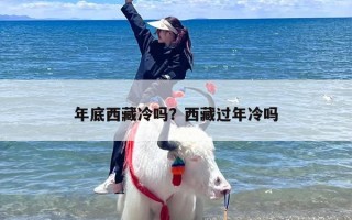年底西藏冷吗？西藏过年冷吗