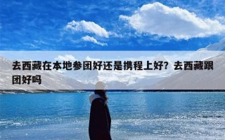 去西藏在本地参团好还是携程上好？去西藏跟团好吗