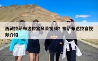 西藏拉萨布达拉宫风景视频？拉萨布达拉宫视频介绍