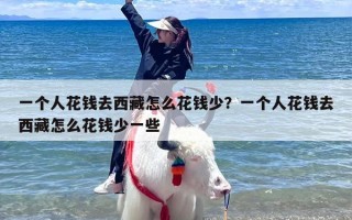 一个人花钱去西藏怎么花钱少？一个人花钱去西藏怎么花钱少一些