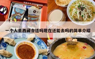 一个人去西藏合适吗现在还能去吗的简单介绍