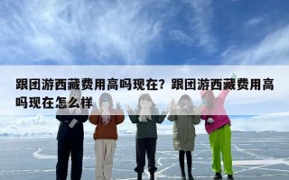 跟团游西藏费用高吗现在？跟团游西藏费用高吗现在怎么样