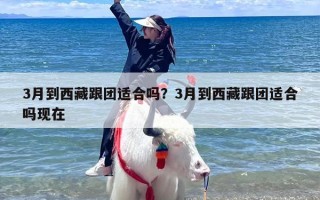 3月到西藏跟团适合吗？3月到西藏跟团适合吗现在