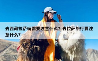 去西藏拉萨玩需要注意什么？去拉萨旅行要注意什么?
