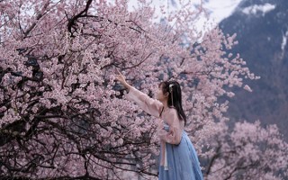 桃花节到西藏报旅游团多少钱一人？西藏桃花节报团旅游费用多少？