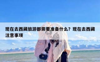 现在去西藏旅游都需要准备什么？现在去西藏注意事项