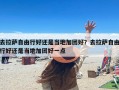 去拉萨自由行好还是当地加团好？去拉萨自由行好还是当地加团好一点