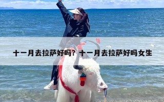 十一月去拉萨好吗？十一月去拉萨好吗女生