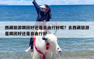 西藏旅游跟团好还是自由行好呢？去西藏旅游是跟团好还是自由行好