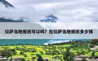 拉萨当地报团可以吗？在拉萨当地报团多少钱