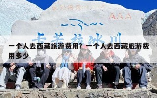 一个人去西藏旅游费用？一个人去西藏旅游费用多少