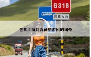 包含上海到西藏旅游团的词条