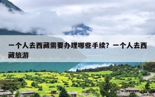 一个人去西藏需要办理哪些手续？一个人去西藏旅游
