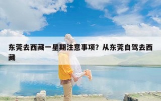 东莞去西藏一星期注意事项？从东莞自驾去西藏