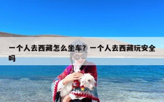一个人去西藏怎么坐车？一个人去西藏玩安全吗