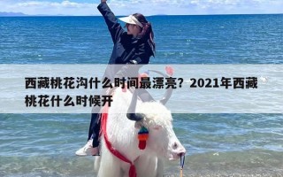 西藏桃花沟什么时间最漂亮？2021年西藏桃花什么时候开