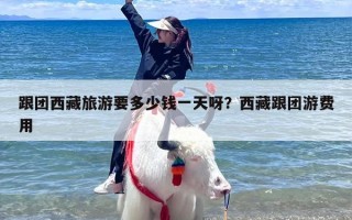 跟团西藏旅游要多少钱一天呀？西藏跟团游费用