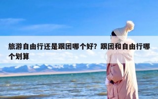 旅游自由行还是跟团哪个好？跟团和自由行哪个划算