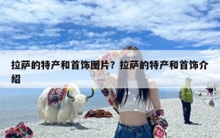 拉萨的特产和首饰图片？拉萨的特产和首饰介绍