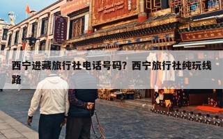 西宁进藏旅行社电话号码？西宁旅行社纯玩线路