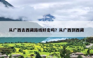 从广西去西藏路线好走吗？从广西到西藏