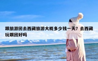 跟旅游团去西藏旅游大概多少钱一天？去西藏玩跟团好吗