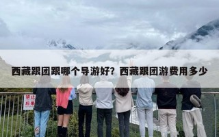 西藏跟团跟哪个导游好？西藏跟团游费用多少