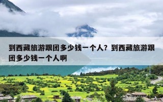 到西藏旅游跟团多少钱一个人？到西藏旅游跟团多少钱一个人啊