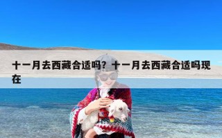 十一月去西藏合适吗？十一月去西藏合适吗现在
