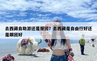 去西藏自助游还是报团？去西藏是自由行好还是跟团好