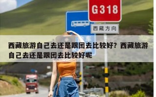 西藏旅游自己去还是跟团去比较好？西藏旅游自己去还是跟团去比较好呢