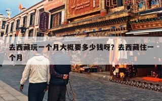去西藏玩一个月大概要多少钱呀？去西藏住一个月