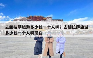去趟拉萨旅游多少钱一个人啊？去趟拉萨旅游多少钱一个人啊现在
