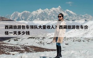 西藏旅游包车领队大量收人？西藏旅游包车价格一天多少钱
