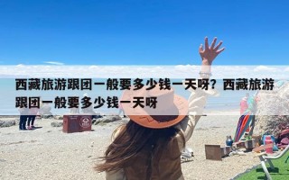 西藏旅游跟团一般要多少钱一天呀？西藏旅游跟团一般要多少钱一天呀