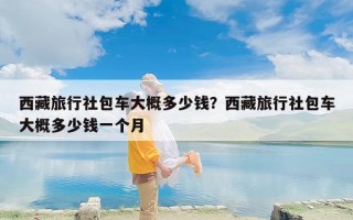 西藏旅行社包车大概多少钱？西藏旅行社包车大概多少钱一个月