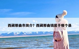西藏那曲市简介？西藏那曲镇属于哪个县